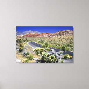 Red Rock Canyon National Conservation Area, Las Canvastryck