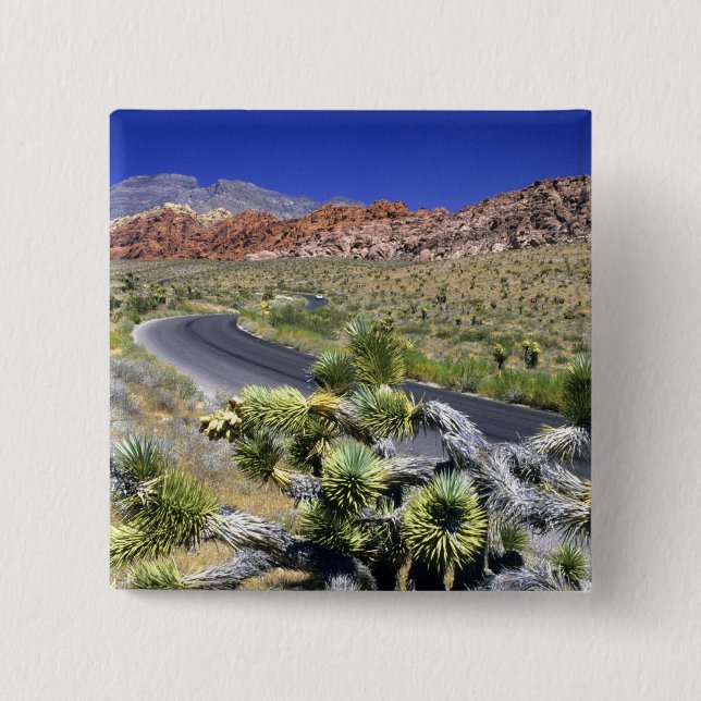 Red Rock Canyon National Conservation Area, Las Knapp (Framsida)