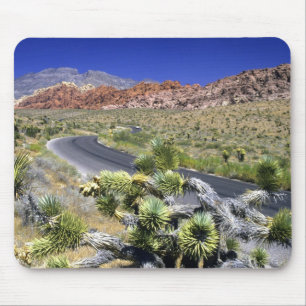 Red Rock Canyon National Conservation Area, Las Musmatta