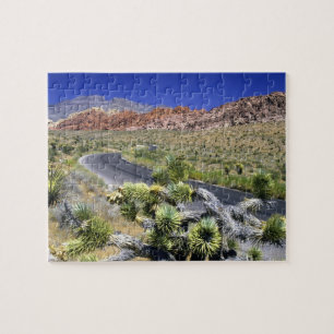 Red Rock Canyon National Conservation Area, Las Pussel