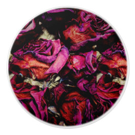 Red Röd ros Blommigt Knopp