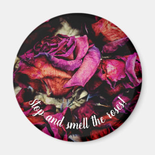 Red Röd ros Blommigt Magnet