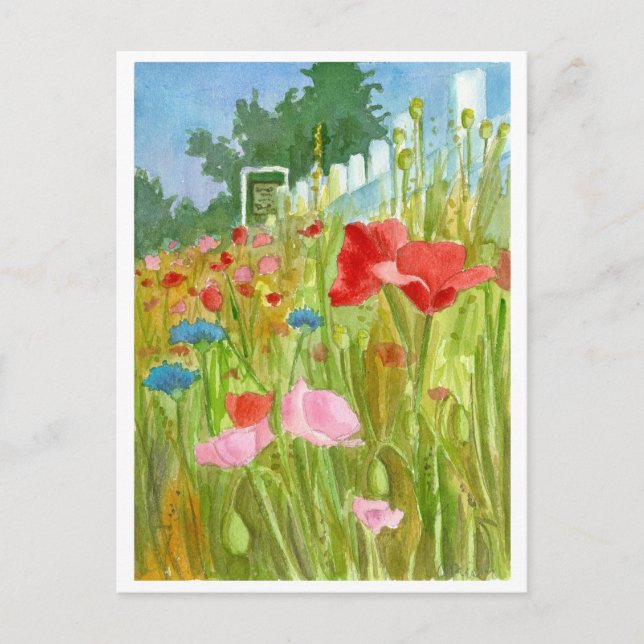 Red Rosa Poppies Watercolor Flowers Vykort (Framsida)