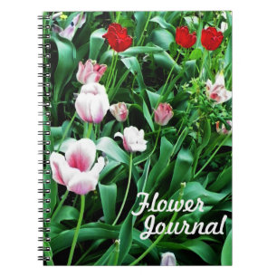 Red & Rosa Tulips Bilder Anteckningsbok Med Spiral