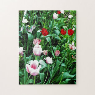 Red & Rosa Tulips Bilder Pussel