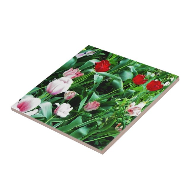 Red & Rosa Tulips Bilder Spoon Rest Kakelplatta (Sidan)