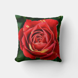 Red Rose Fotografi Kudde