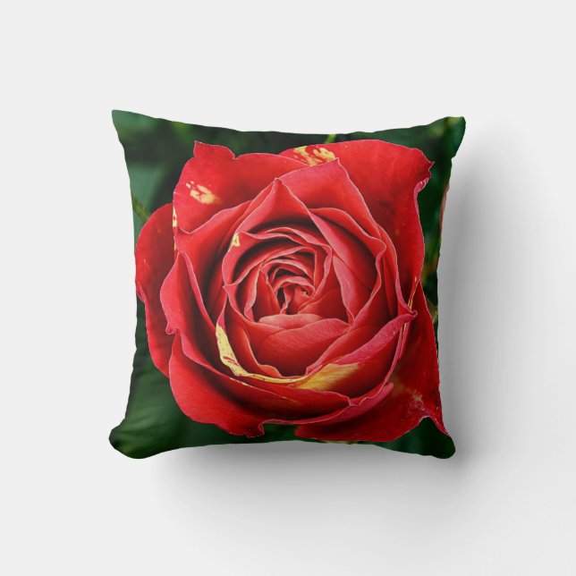 Red Rose Fotografi  Kudde (Framsida)