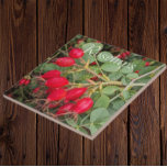 Red Rosehips Botanical Kakelplatta<br><div class="desc">Botaniskt tema,  keramiskt plattor med en fotobild av ljusröda rosehips,  frukten från olika växter i Ro. En underbar,  blommigt design! Markera din ruta storlek. Gör en underbar kökstrivet!</div>