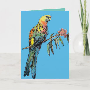 Red Rosella Parrot Bird Watercolor Birthday Card Kort