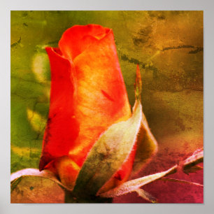Red Rosenknopp Close Disted Art Poster