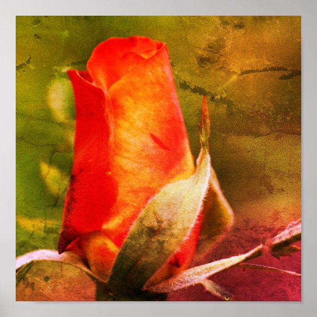 Red Rosenknopp Close Disted Art Poster (Framsidan)