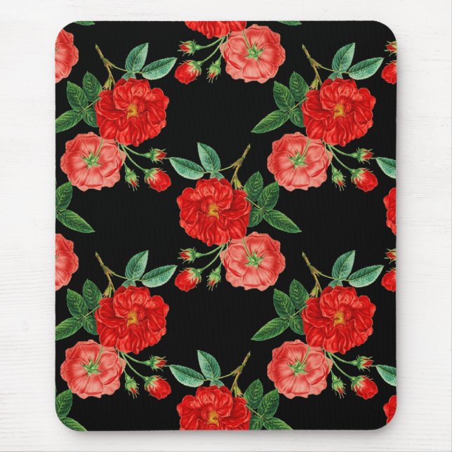 Red roses, black background, musmatta (Framsidan)