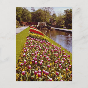Red Roundhay Park, Leeds, Englands blommor Vykort