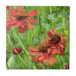 RED RUDBECKIA FLOWERS KAKELPLATTA<br><div class="desc">En konstdesign av söt röda rödbeckia-blommor.</div>