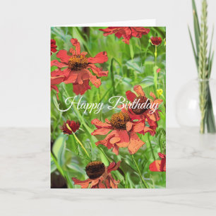RED RUDBECKIA FLOWERS KORT