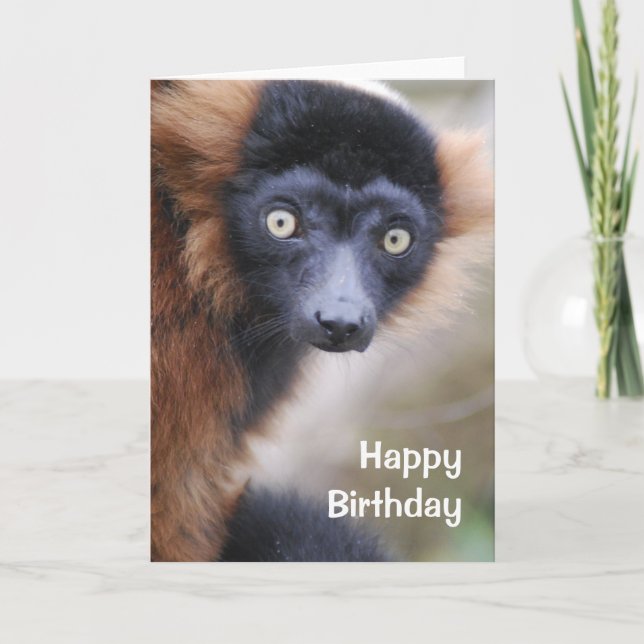 Red Ruffed Lemur Greeting Card Kort (Framsida)