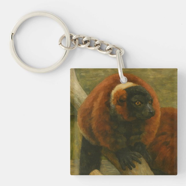 Red Ruffed Lemurs i Woodland Light (Framsidan)