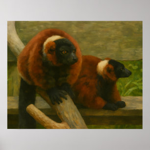 Red Ruffed Lemurs i Woodland Light Poster