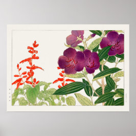 Red Salvia och Lila Melastoma av Tanigami Konan Poster
