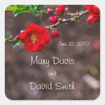 Red Scarlet Bröllop