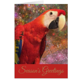 Red Scarlet Macaw Parrot Julhelg Card Hälsningskort