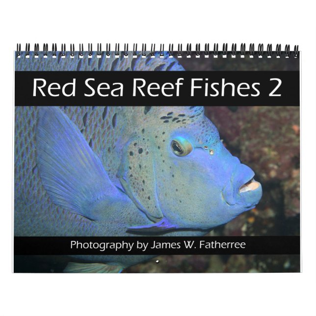 Red Sea Reef Fishs 2 Calendar Kalender (Omslag)