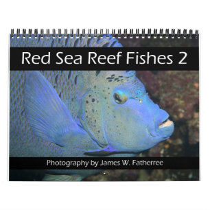 Red Sea Reef Fishs 2 Calendar Kalender