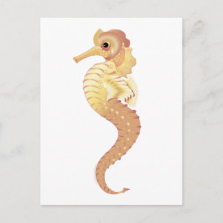 Red Sea Stallion Vykort