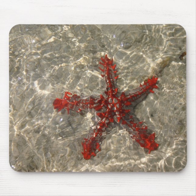 Red Sea Star - Mousepad Musmatta (Framsidan)