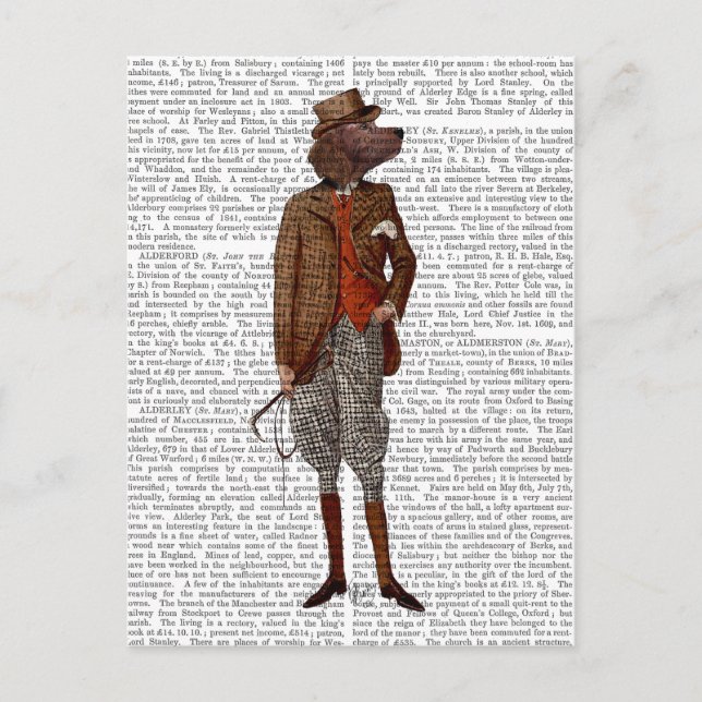 Red Setter Rider Fullt Vykort (Framsida)