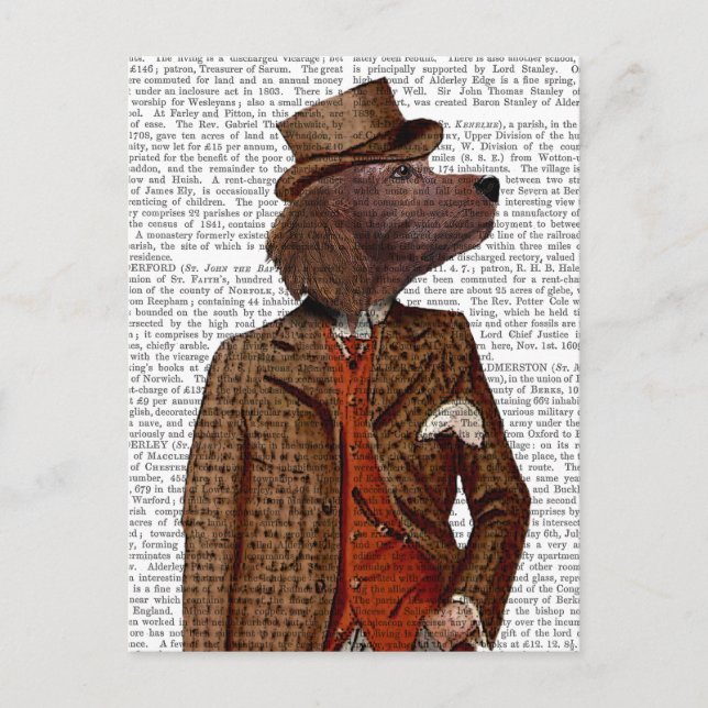 Red Setter Rider Porträtt Vykort (Framsida)