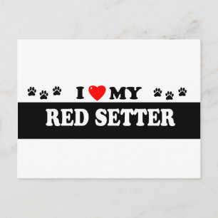 RED SETTER VYKORT