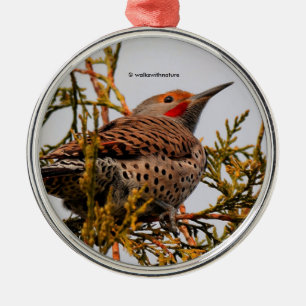 Red-Shafted Northern Flicker Woodpecker i Träd Julgransprydnad Metall