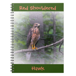 Red Shouled Hawk Anteckningsbok