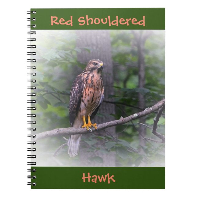 Red Shouled Hawk Anteckningsbok (Framsidan)
