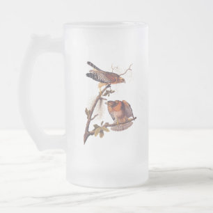 Red Shouled Hawk Audubon Bird of Ber Frostat Ölglas