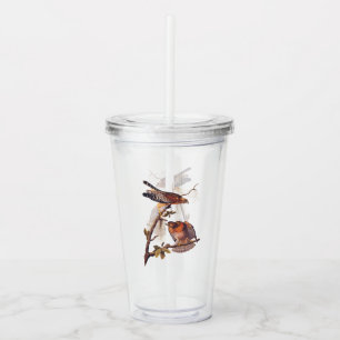 Red Shouled Hawk Audubon Bird of Ber Take Away Mugg