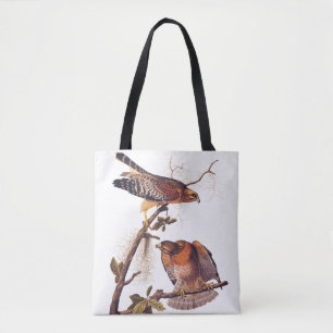 Red Shouled Hawk Audubon Bird of Ber Tygkasse