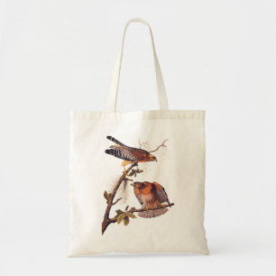 Red Shouled Hawk Audubon Bird of Ber Tygkasse
