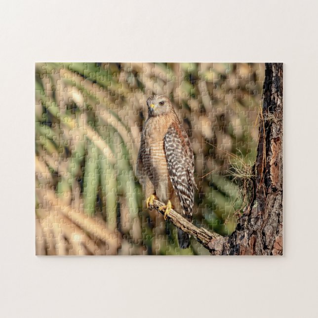 Red Shouled Hawk i träd Pussel (Horisontell)