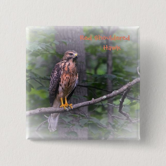 Red Shouled Hawk Knapp (Framsida)