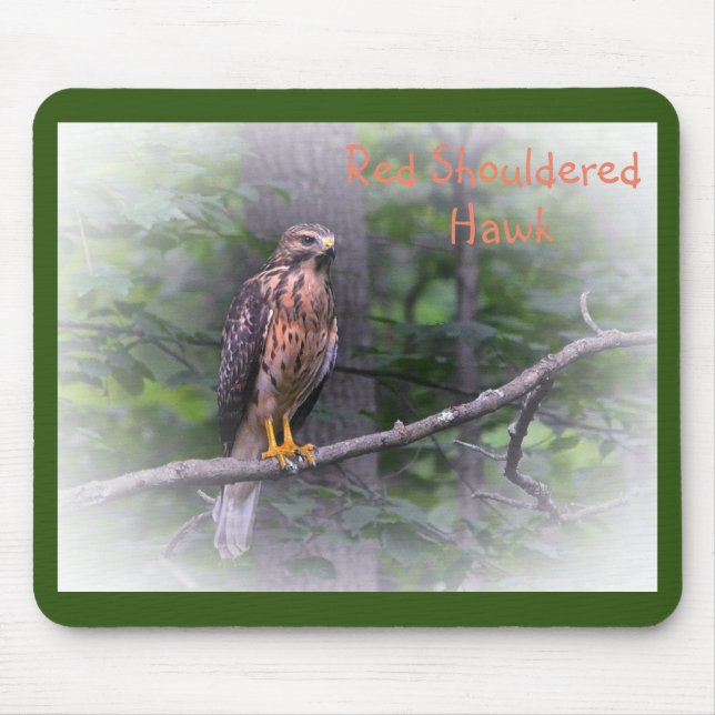 Red Shouled Hawk Musmatta (Framsidan)