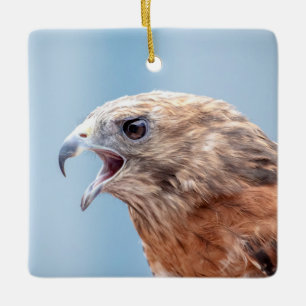 Red Shouled Hawk på sten Julgransprydnad Keramik