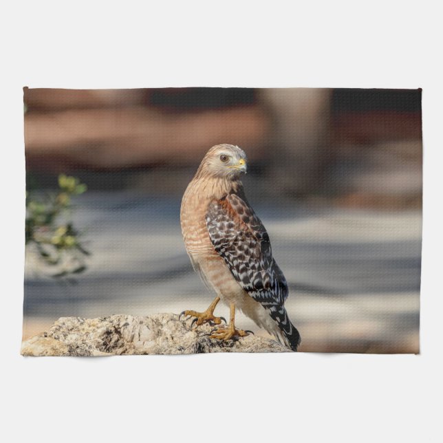 Red Shouled Hawk på sten Kökshandduk (Horisontell)