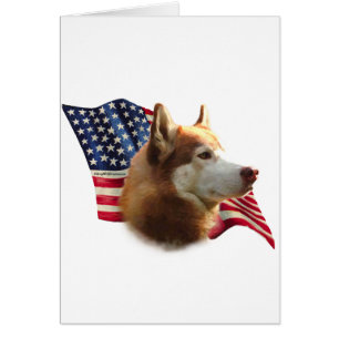 Red Siberian husky Flagga Hälsningskort