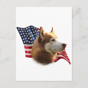 Red Siberian husky Flagga Vykort