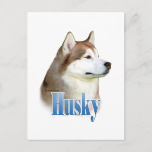 Red Siberian husky Namn Vykort