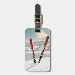 Red Skis Bagagebricka