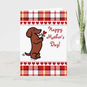 Red Smooth Hved Dachshund Kort